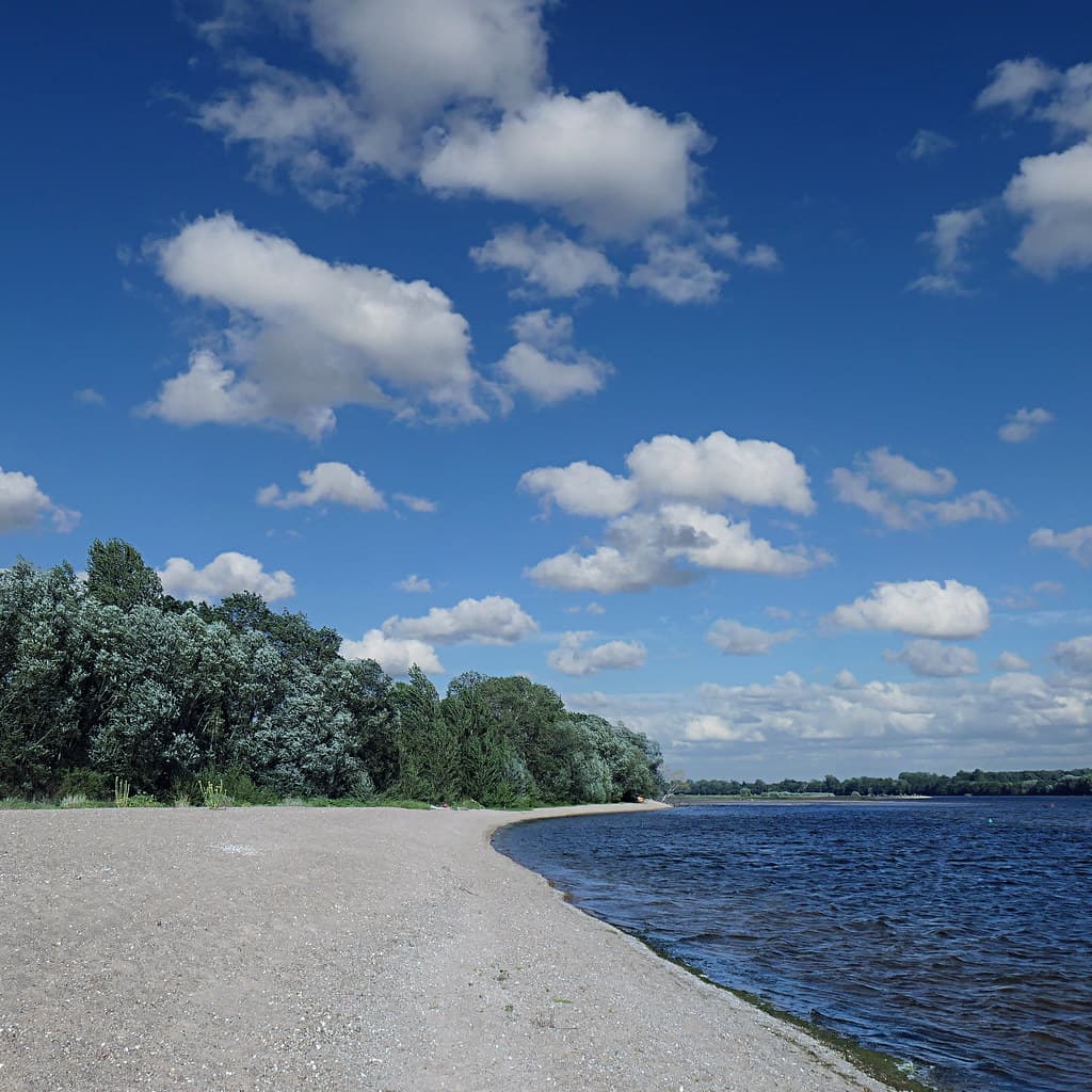 Plage de l'île du Hardas, Angers