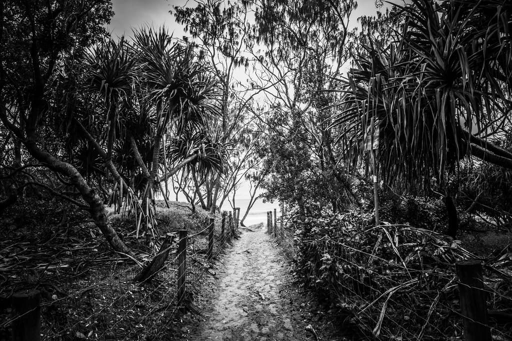 Dark walk