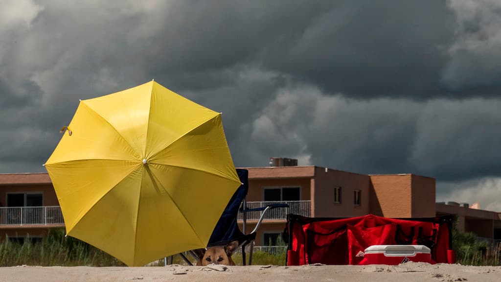 Wary weather watcher