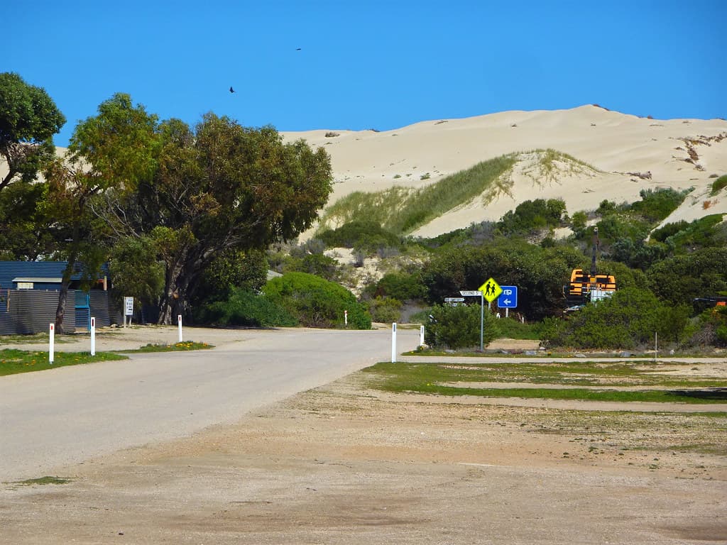 Fowlers Bay. The massive sand dune which is slowly encroaching onto the town.