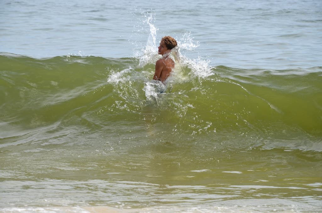 Everett In The Waves