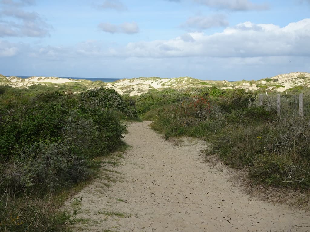 Merlimont-plage en 2023