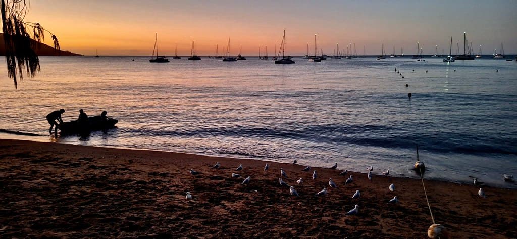 Horseshoe Bay sunset with seagulls, Magnetic Island, Australia