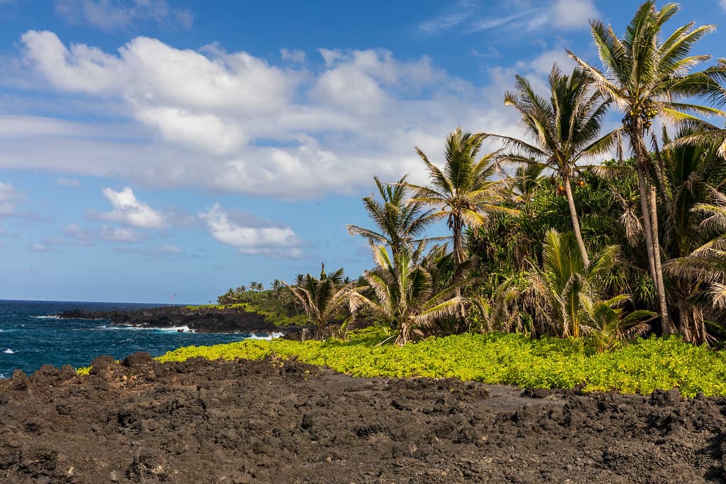 Waiʻānapanapa State Park Black Sand Beach (2)