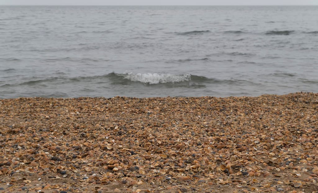 Kosa Beach — photo by Dāvis Kļaviņš
