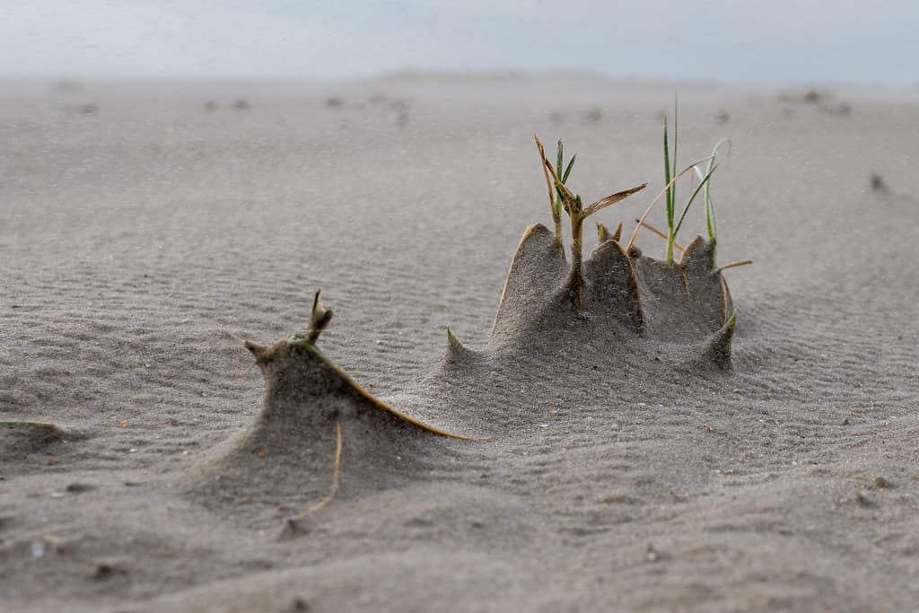Huisduinen North Beach — photo by johan wieland