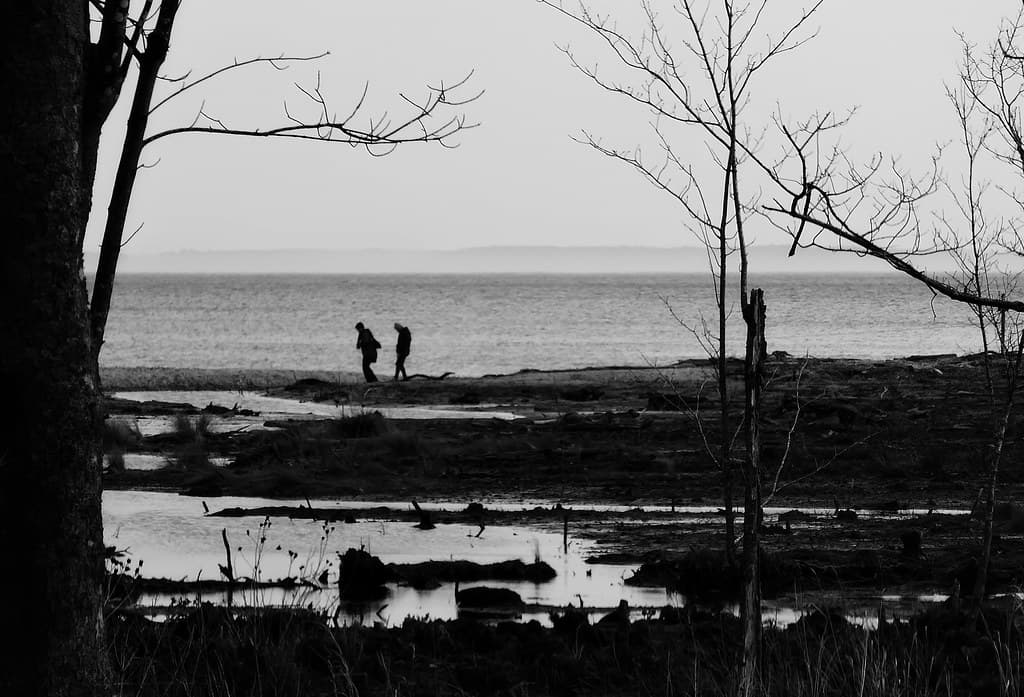 Calvert Cliffs State Park Beach view 3