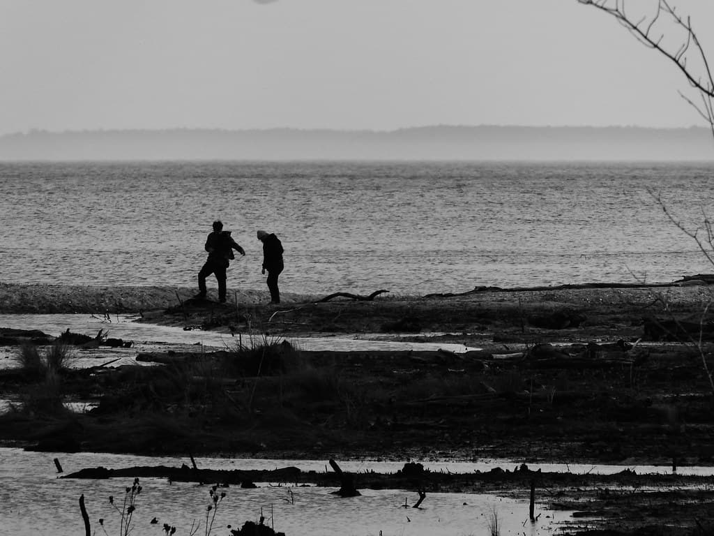 Treading on muted sands, seeking solace in the gray.