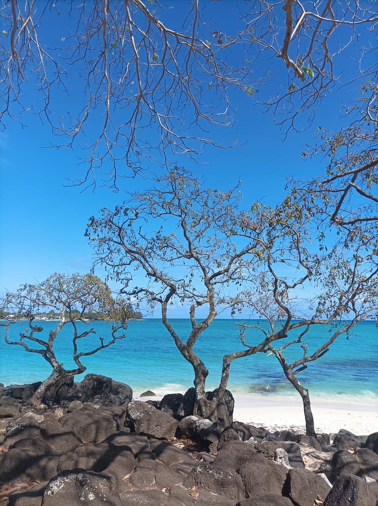 Butte à l’Herbe Beach — photo by Kary Mar