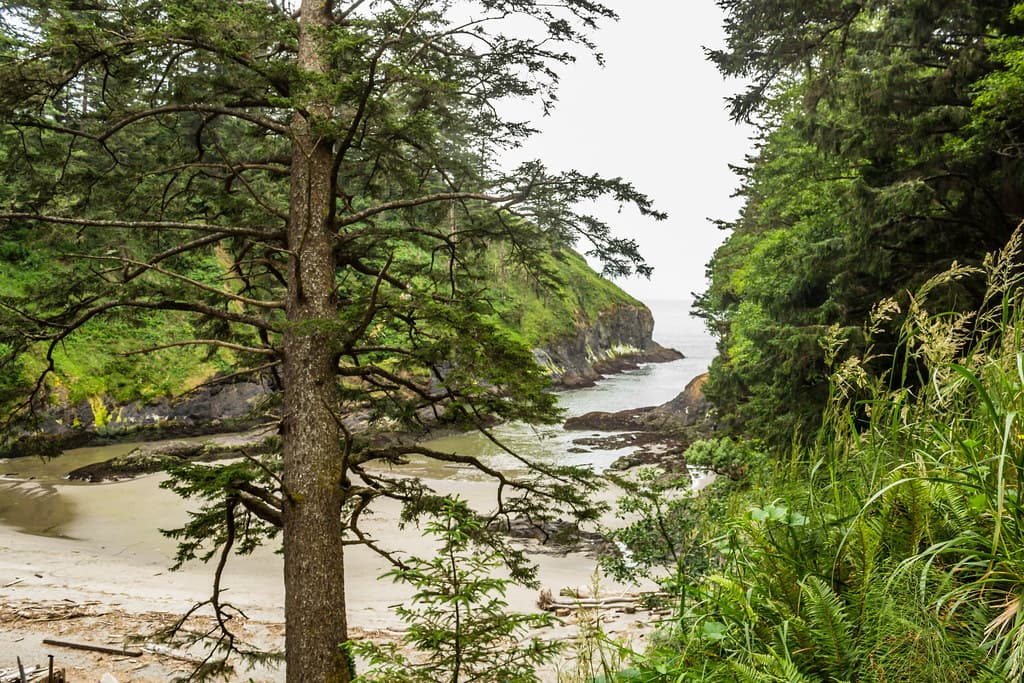 Cape Disappointment State Park 2017 06 28 62