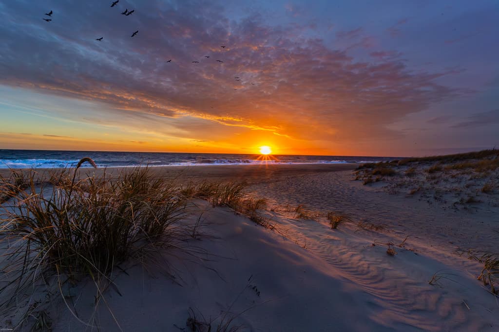Seaside Dawn