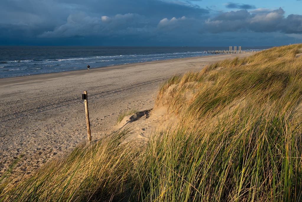 Callantsoog Hidden South Dunes