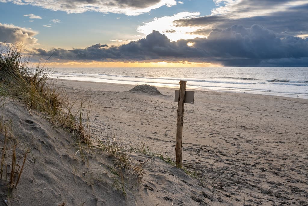 Callantsoog Hidden South Dunes — photo by johan wieland