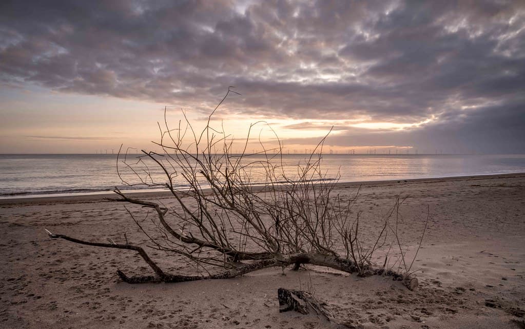 Anderby Creek Beach — photo by DS Williams