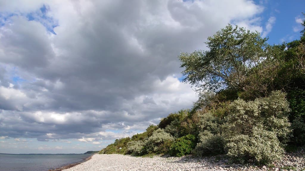 Kägsdorf Beach — photo by Sarkana
