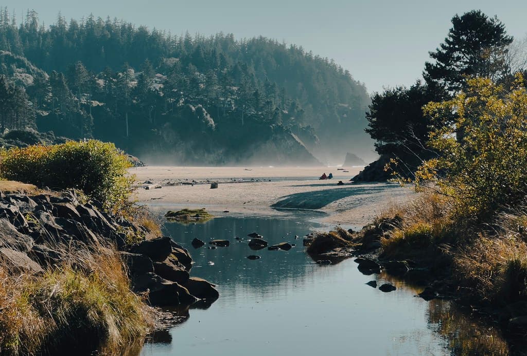 Misty morning scene at Neskowin Beach - Neskowin, Oregon