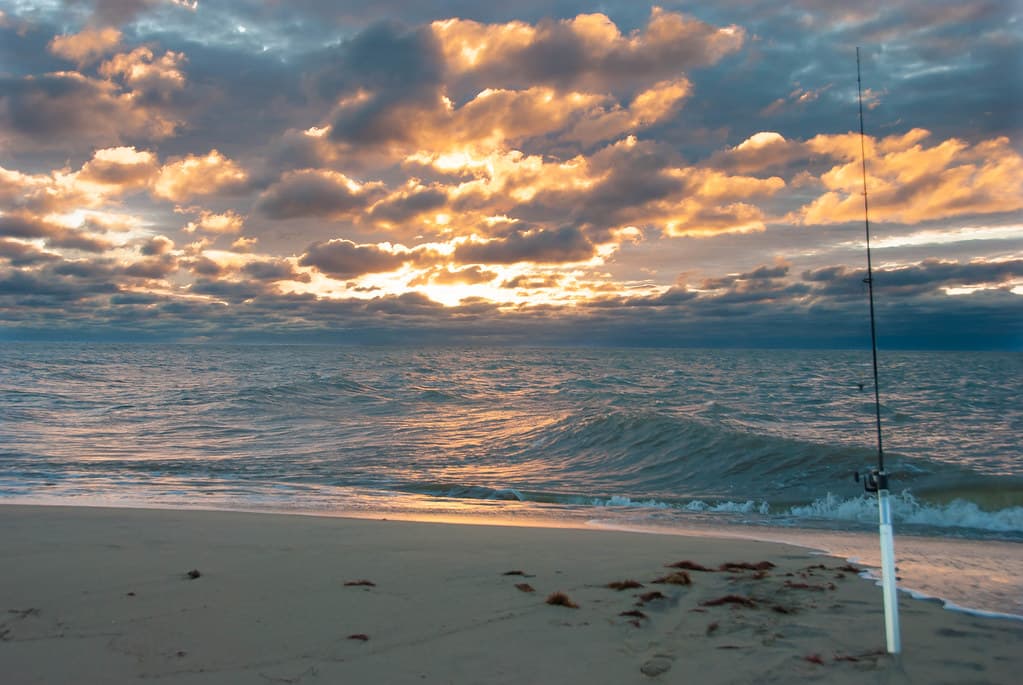Wasque Dawn Bluefish Fishing