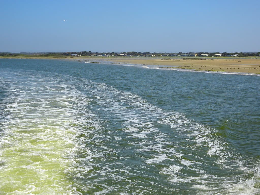 Goolwa to the River Murray mouth. Spirit of the Coorong cruise. The wake with beach shacks on Hindmarsh Island beyond. .