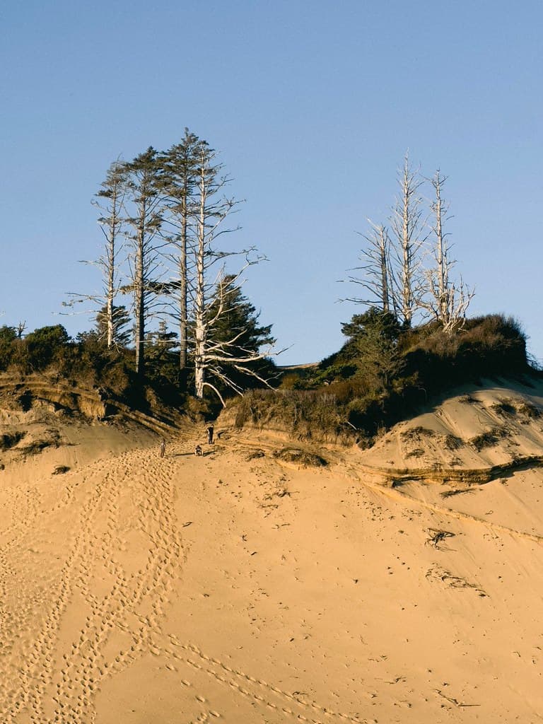 Great Dunes Beach view 3