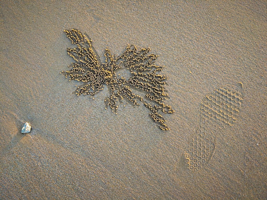 Main Beach