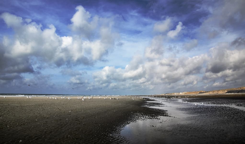La plage rien que pour nous... et les goélands !