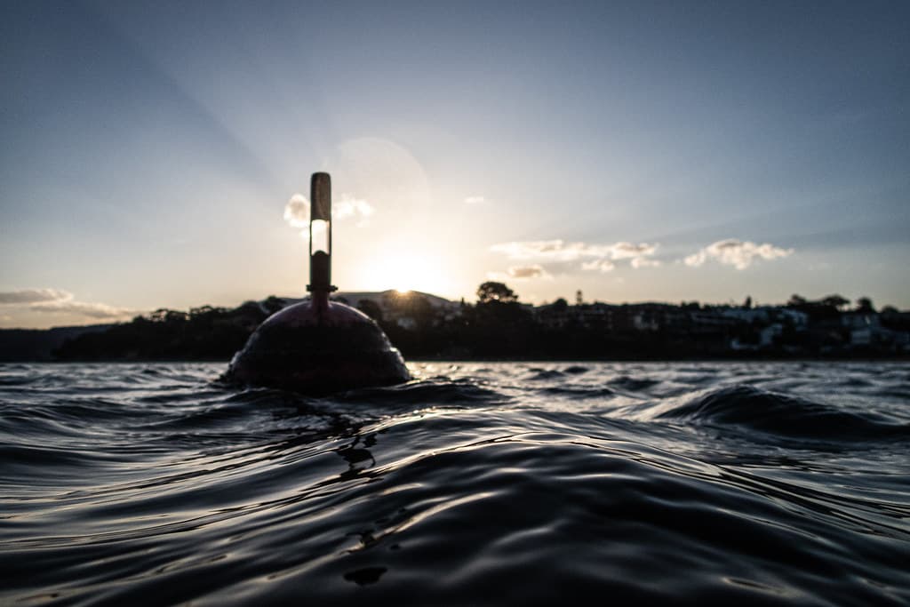 Swimming at sunset, Bellerive Beach, Bellerive, Tasmania