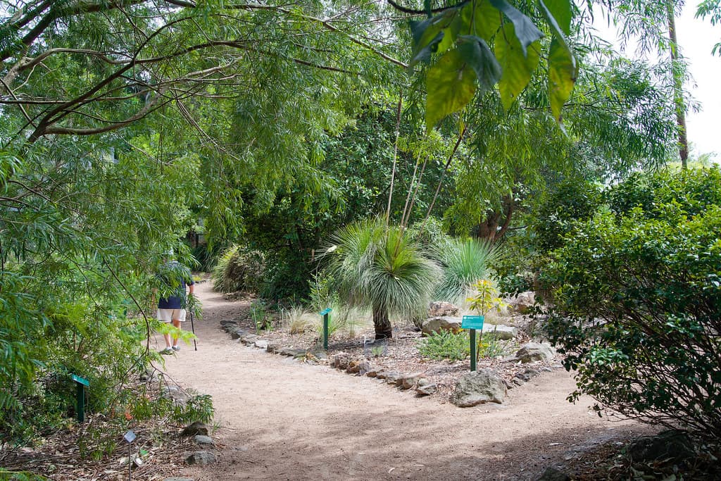 Shoalhaven Heads Native Botanic Garden