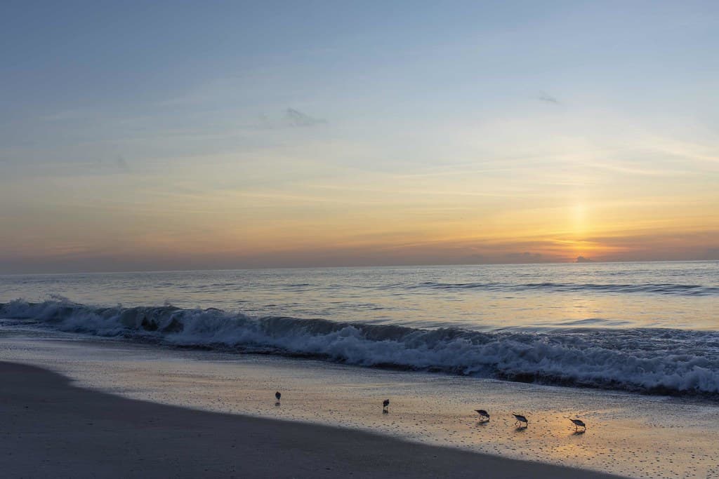 North Beach — photo by JavaJoba