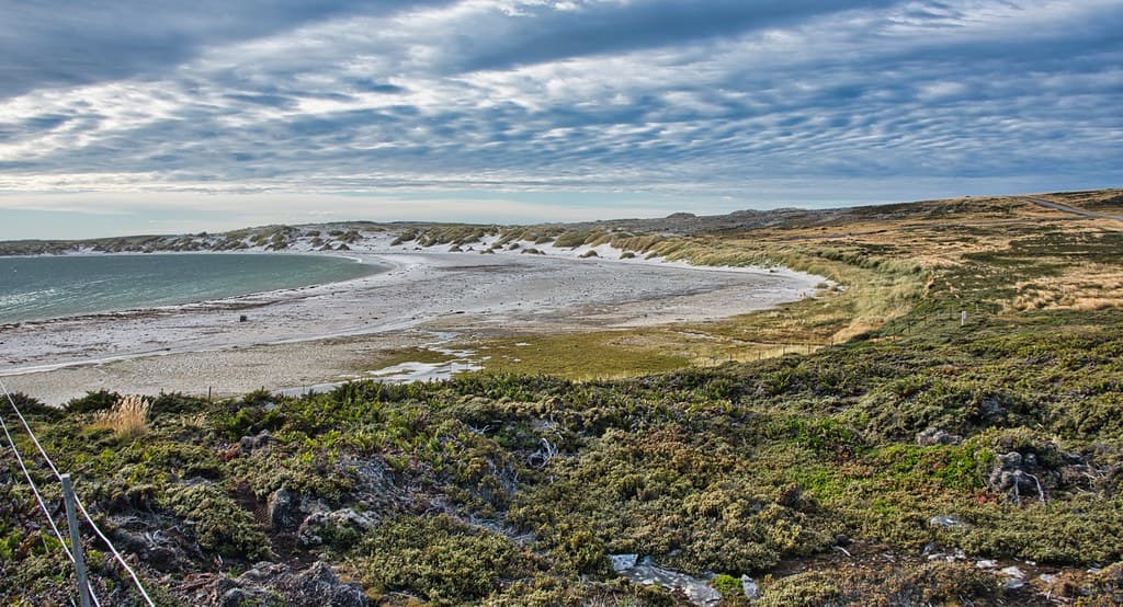 Rookery Bay — photo by Stand by Ukraine