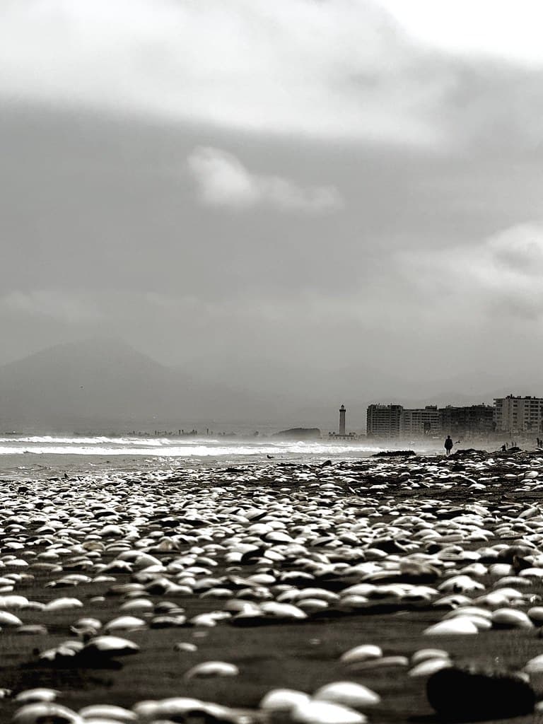 Faro de La Serena