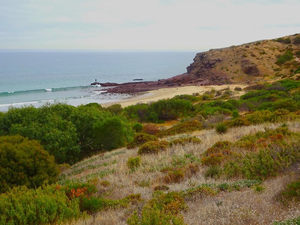 Hallett Cove. Adelaide. Lone fisherman on the rocks. View from Hallett Cove Conservation Park.