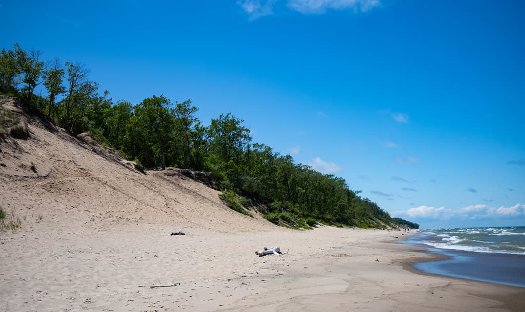 Mount Baldy Beach, Indiana Dunes National Park