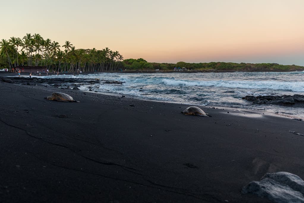 Punalu?u Black Sand Beach