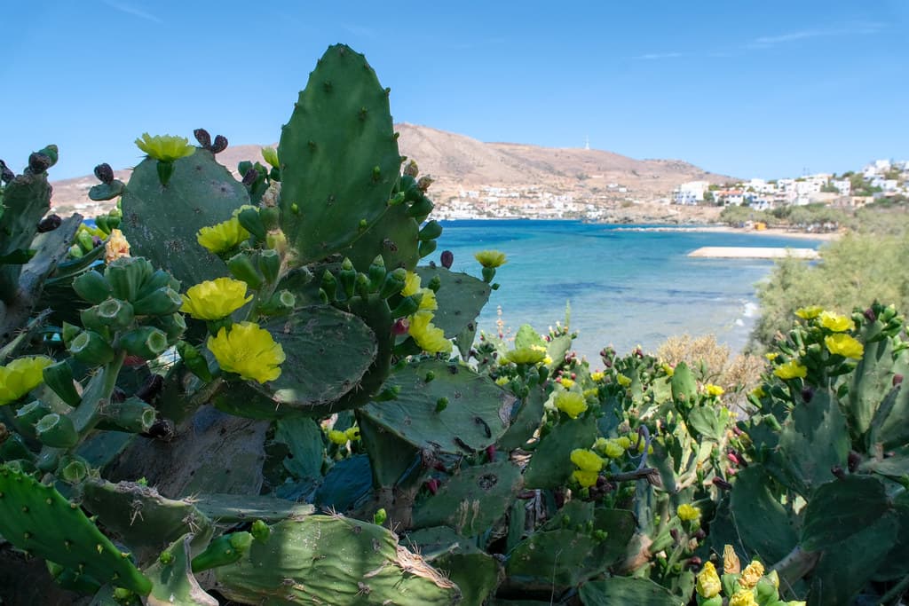 Vari Beach — photo by Francisco Anzola