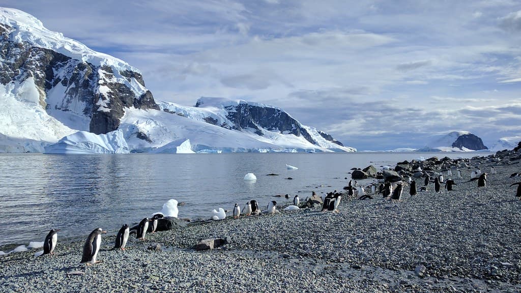 Danco Island Beach