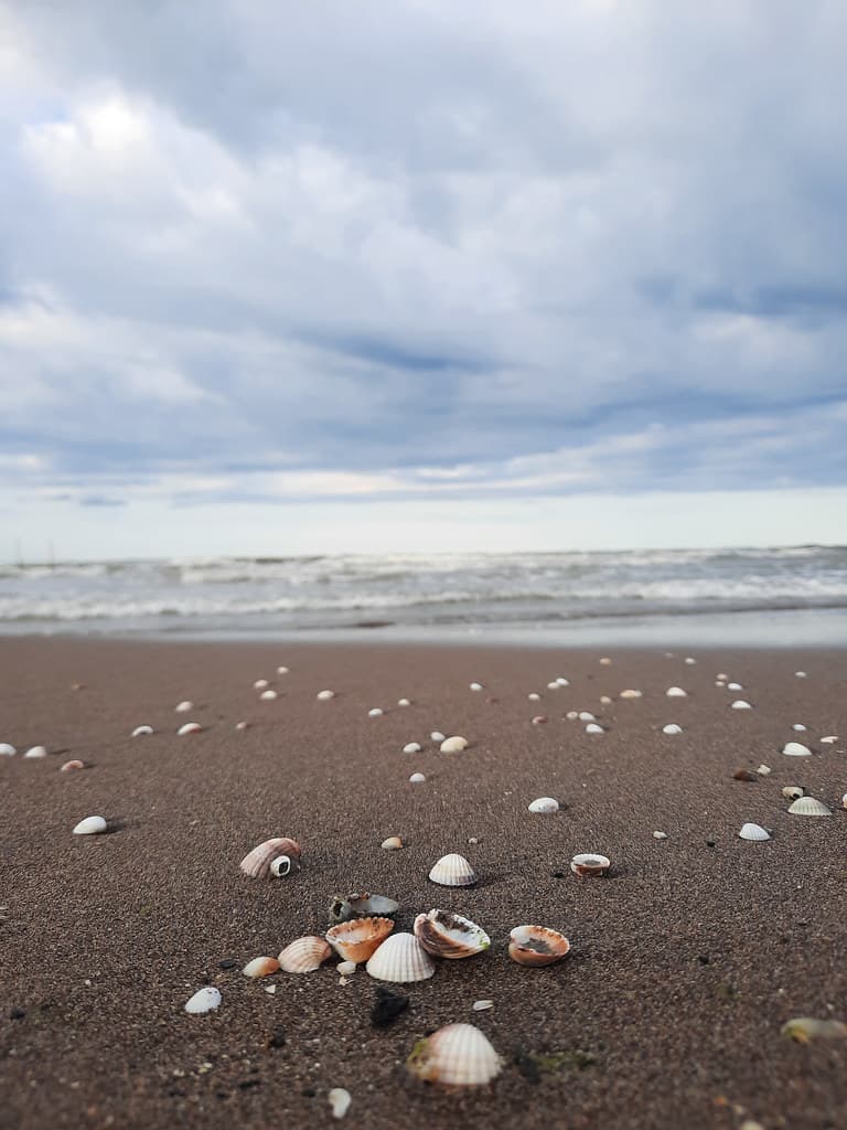 Kiashahr Beach