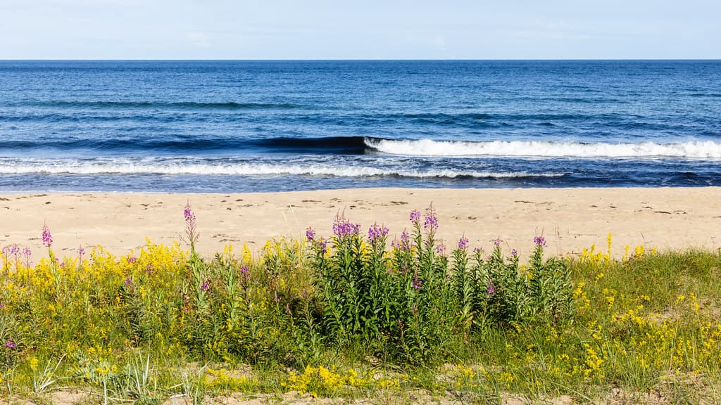 Friseboda Beach — photo by Ulf Bodin