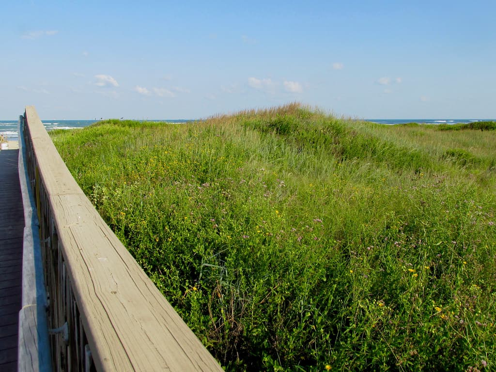 South Padre Dunes Beach