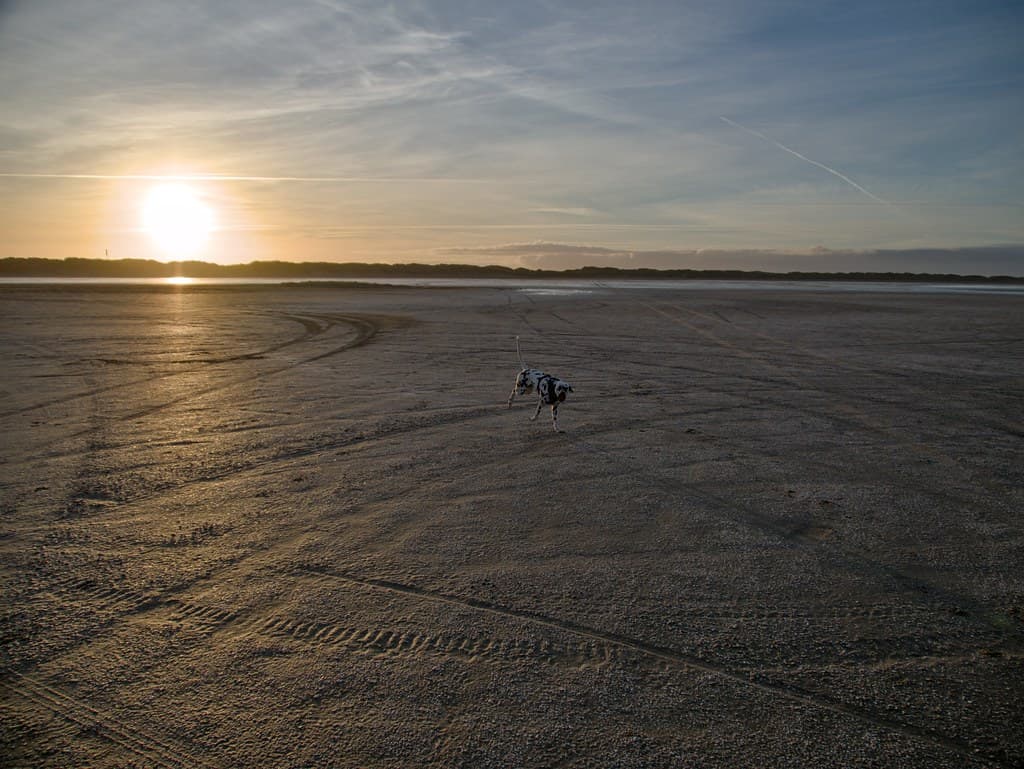 Tagholm Beach
