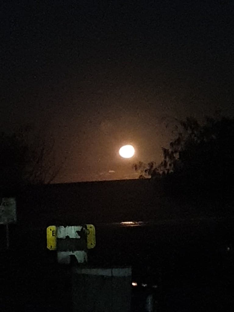 Full moon rising at K'gari Beach resort