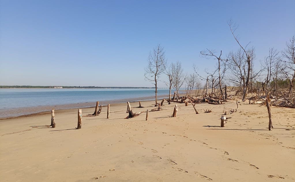Plage de l'Embellie — photo by thierry llansades