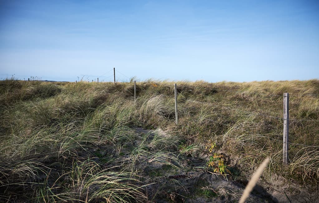 Høve Strand — photo by Jesper Hauge