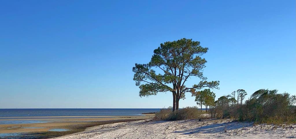 Mashes Sands Beach