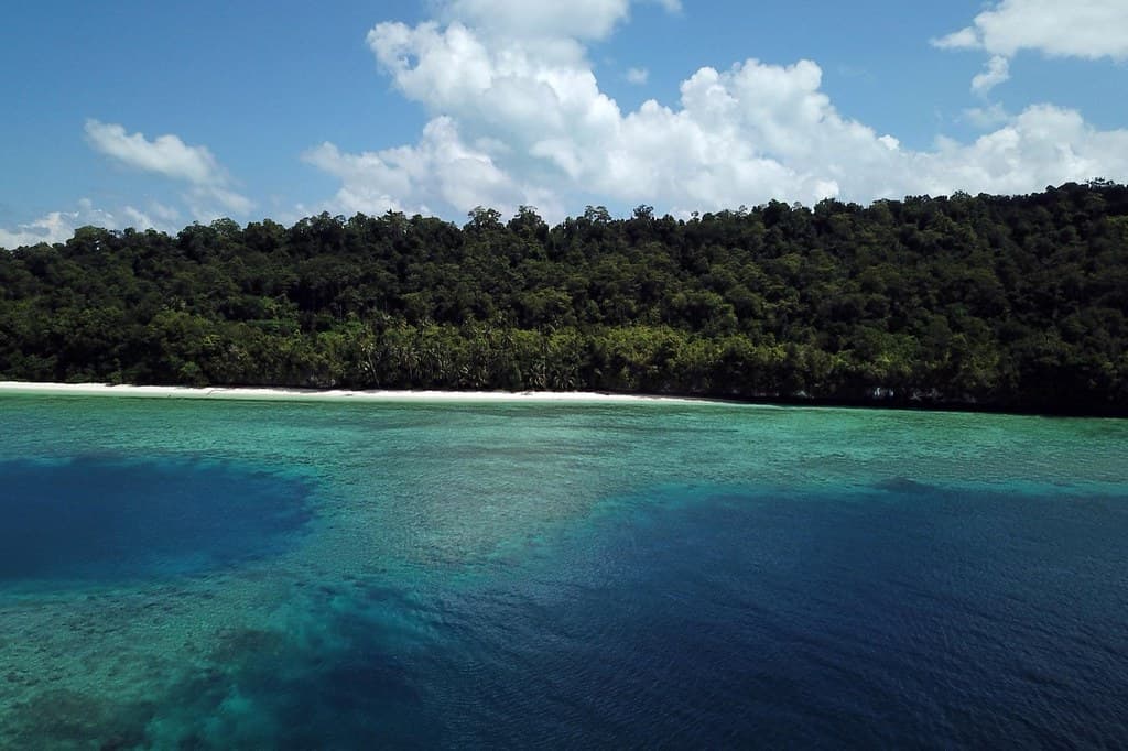 kaltim_drone_190111