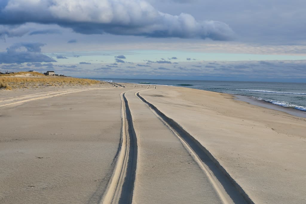 Coskata Coatue Wildlife Preserve, Nantucket