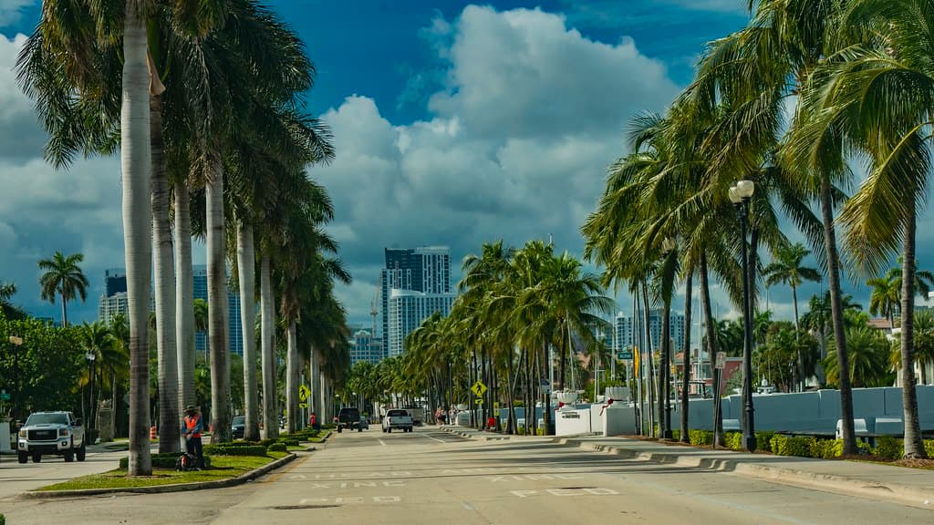 Arriving at Fort Lauderdale's city center. Florida, USA. Winter trip 2024/25