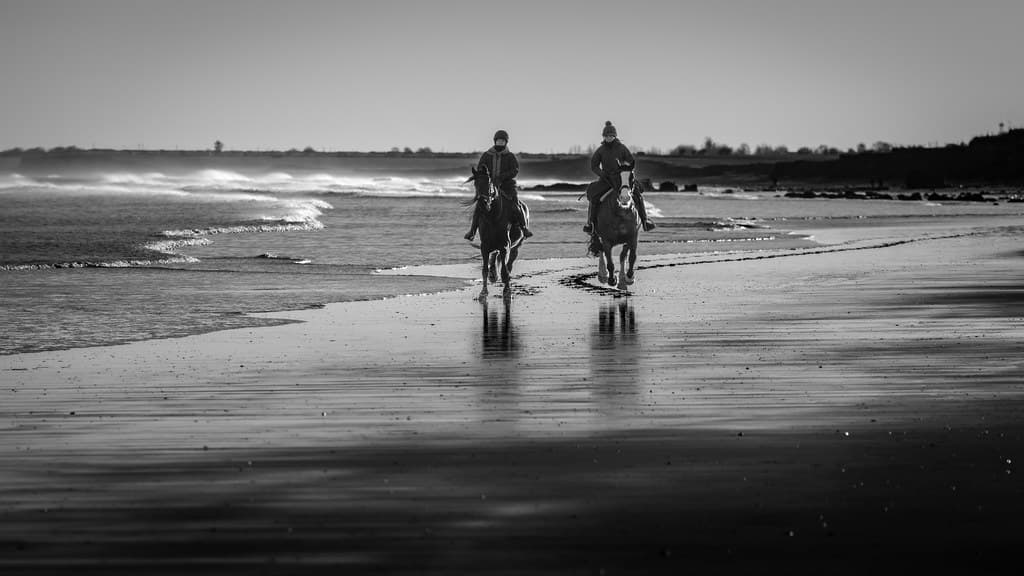 Auburn Sands — photo by GIgaYork