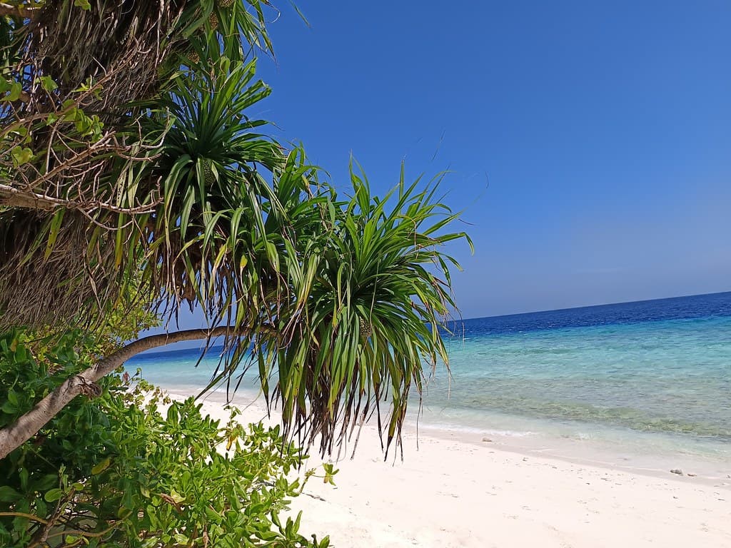 Ukulhas Lagoon Edge — photo by Kary Mar