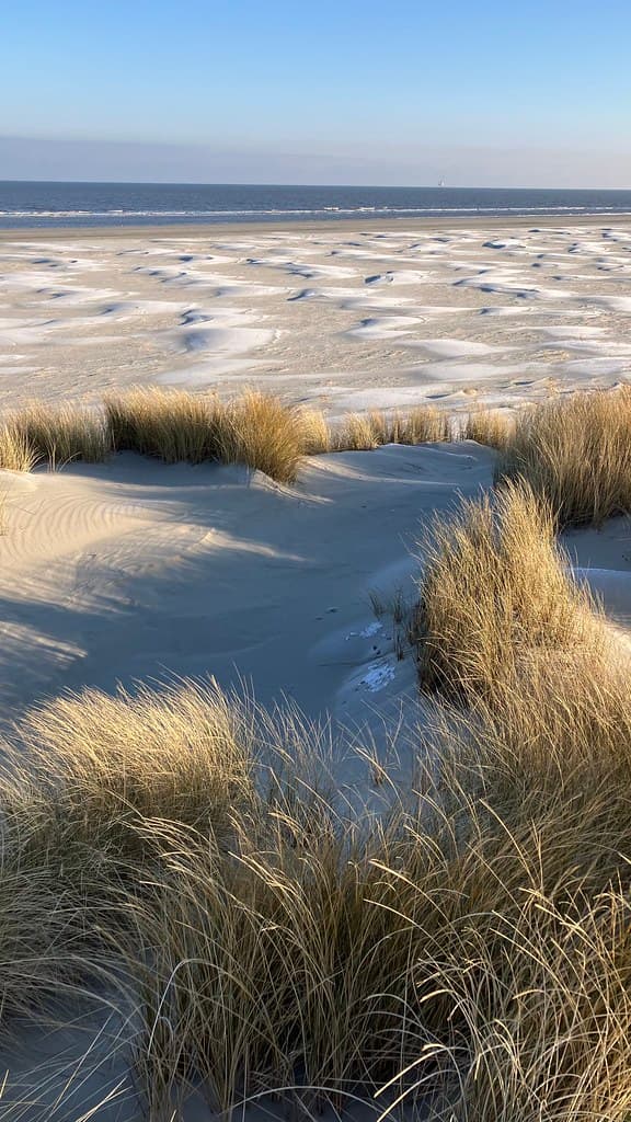 Hidden East Dunes — photo by Capturing Silence - Erik Bethlehem