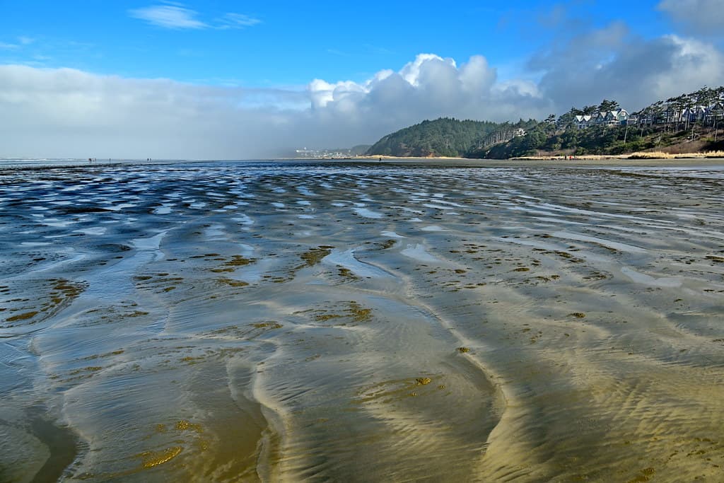 Seabrook Beach